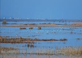 GATOR PUMP Supports the Sustainment of Wetlands GATOR PUMP Supports the Sustainment of Wetlands